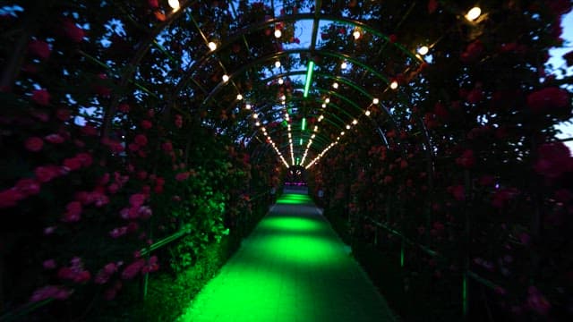 Rose Arch Walkway Illuminated with Lights
