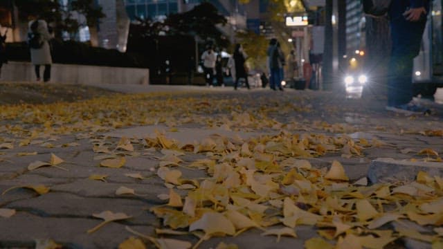 Pedestrians and cars walking on a road covered with fallen leaves on an autumn night