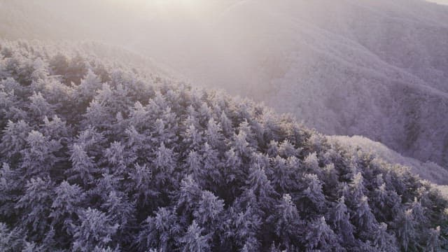 Mountains Covered White with Snow at Dawn