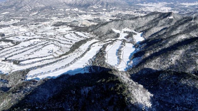 Winter Landscape with Snow-Covered Trees