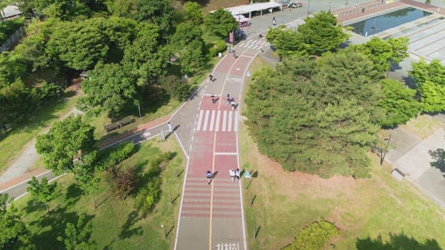 People walking and jogging in a city park