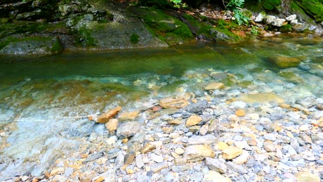 Hand in the Clear Stream with Many Rocks