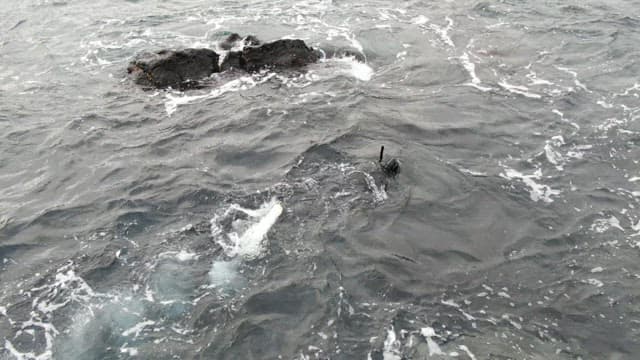Divers exploring near a rocky shore on a sunny day