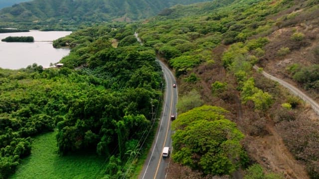Aerial view of a scenic road among lush greenery