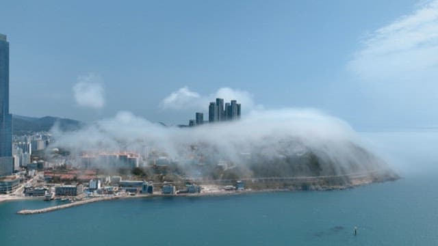 Cityscape in Busan with buildings covered in sea fog