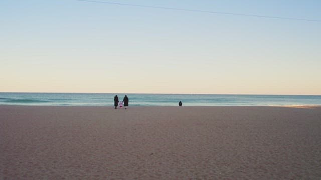 Family walking on a serene beach