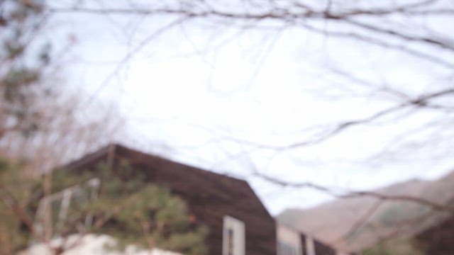 Tranquil modern house in a wooded area with a mountainous backdrop