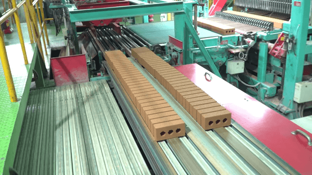 Bricks moving on a conveyor belt