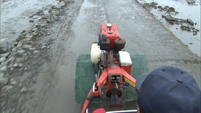 Tractor passing through a mudflat