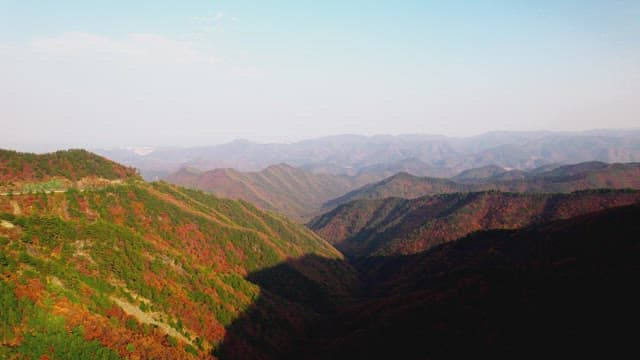 Autumn Foliage Blanketing Mountainous Landscape