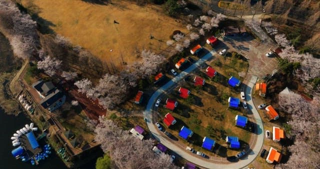 Campsite with blooming trees and colorful caravan
