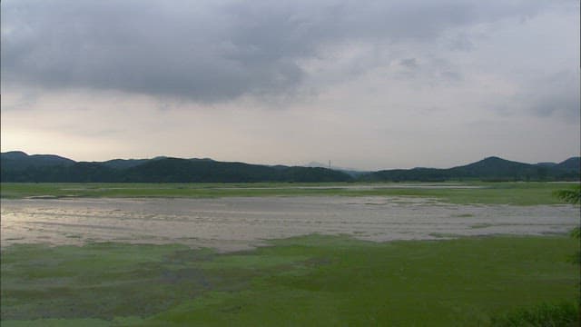 Tranquil Uponeup Marsh landscape under a cloudy, overcast sky