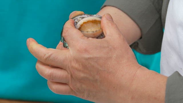 Shucking and preaparing an abalone shell by hand