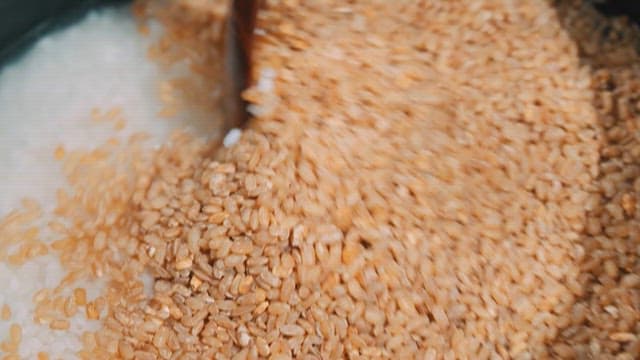 Mixing White Rice and Unpolished rice in a Pot