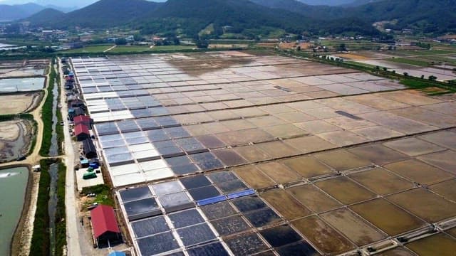 Large saltern in the countryside under clear sky