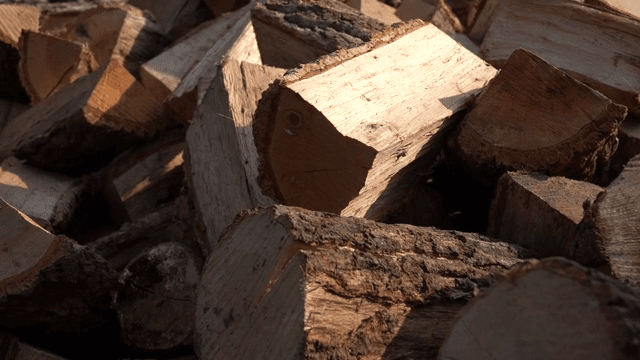 Stack of chopped firewood in sunlight