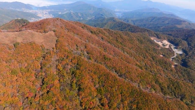 Autumn Foliage Covering Mountain Landscape