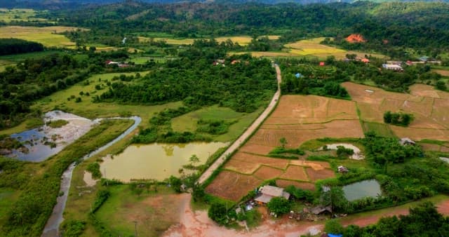 Rural Landscape with Fields and Trees