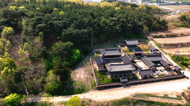 Traditional Korean house surrounded by forest