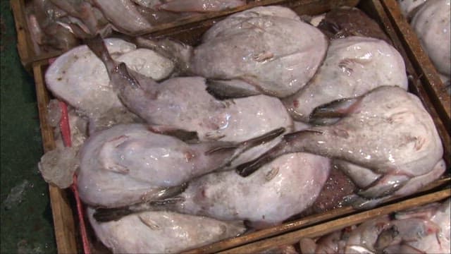 Baskets of Fresh Fish at a Busy Fish Market