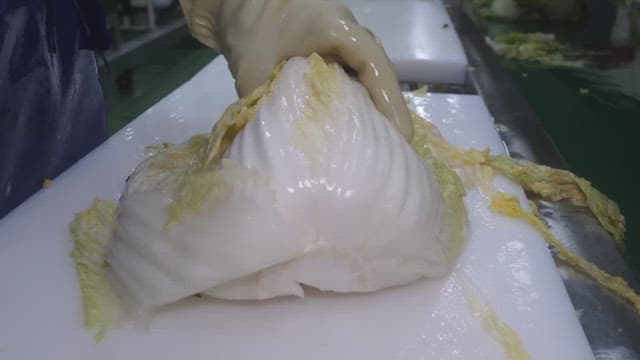 Worker cutting cabbage with a knife in a food factory