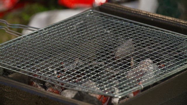 Grilling eel on a barbecue grill