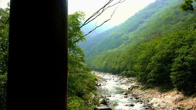 Valley flowing through green mountains in daylight