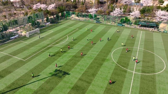 Soccer Match in Spring