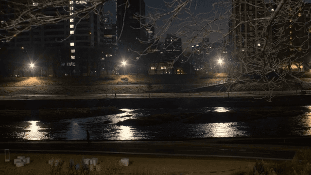 Night view of a city with a river