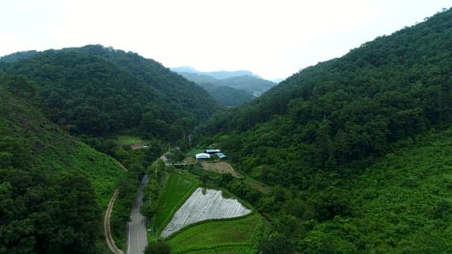 Tranquil view of South Korean countryside