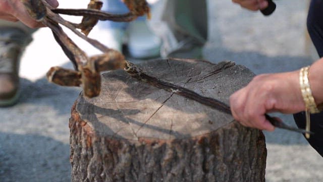 Preparing dried fish on a tree stump