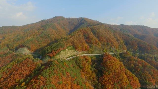 Autumn Mountains with Colorful Leaves