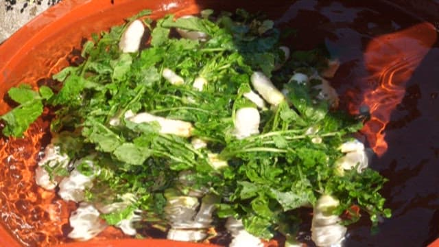 Fresh vegetables washing in a basin outdoors