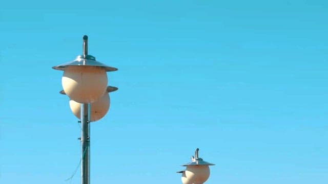 Serene Lakeside Landscape with Street Lamps