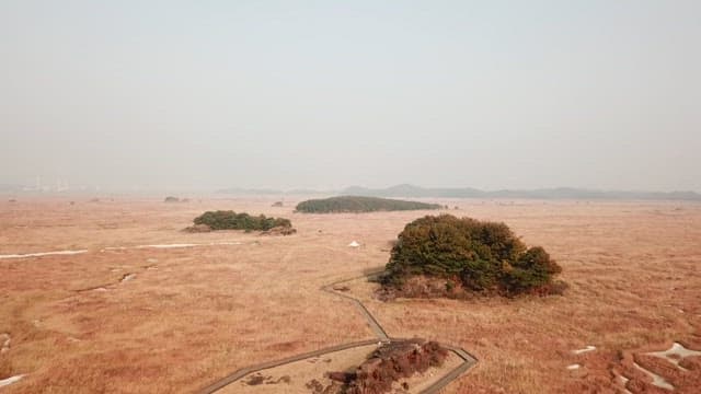 Vast, serene field with sparse trees