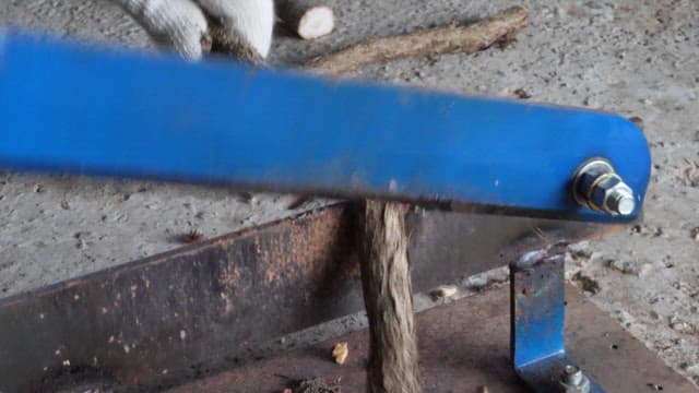 Cutting tree branches with a blue industrial cutter