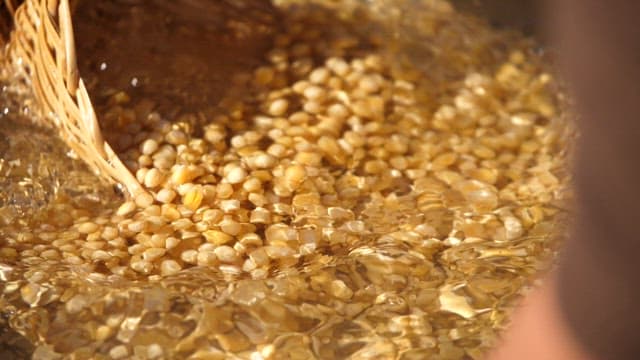 Rinsing soybeans in clean water using a wooden sieve