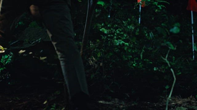 Person Who Discovered the Land Mine in the Forest