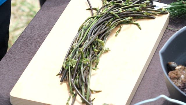 Chopping fresh bracken on a cutting board