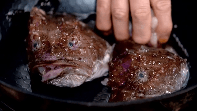 Trimmed sea raven to put in a pot