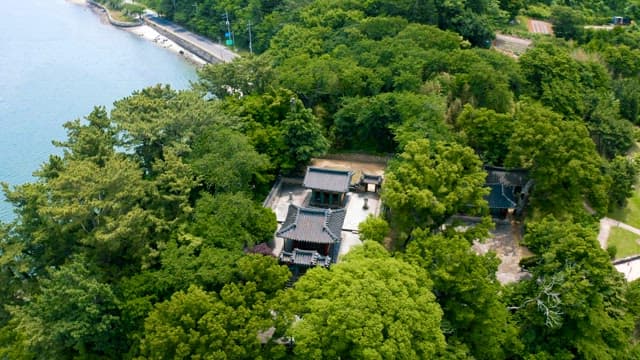 Aerial View of Korean Traditional Buildings Amidst Greenery