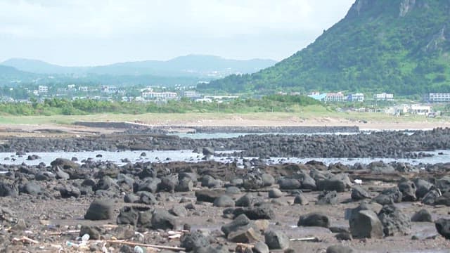 Rocky coastal area with scattered and litter
