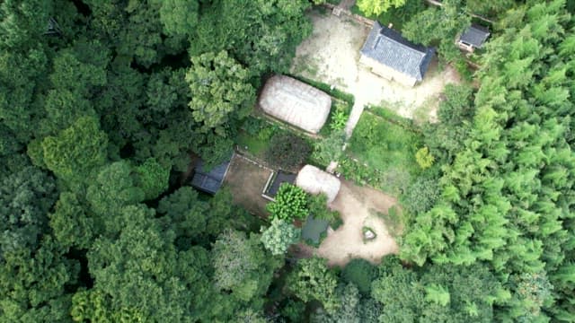 Traditional Korean houses surrounded by lush forest