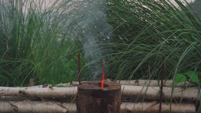 Firewood burning with smoke in a grassy area