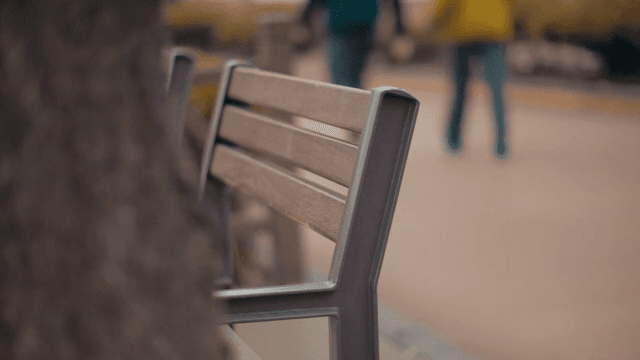 Park Bench and Passersby
