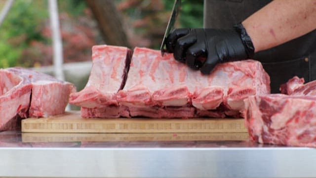 Person cutting raw meat outdoors