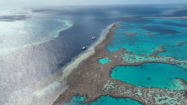 Emerald corals embroidered on the vast sea