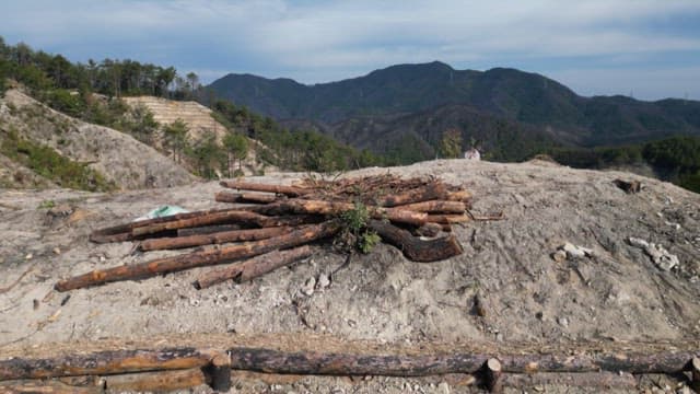 Log accumulation on terraced land in the desolate mountains