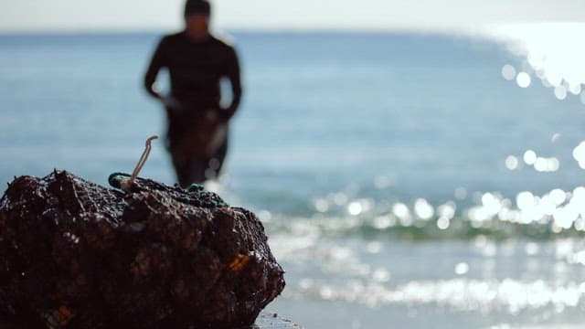 Haenyeo Walking with Seafood Caught in the Sea