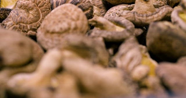 Dried Shiitake Mushrooms at the Market